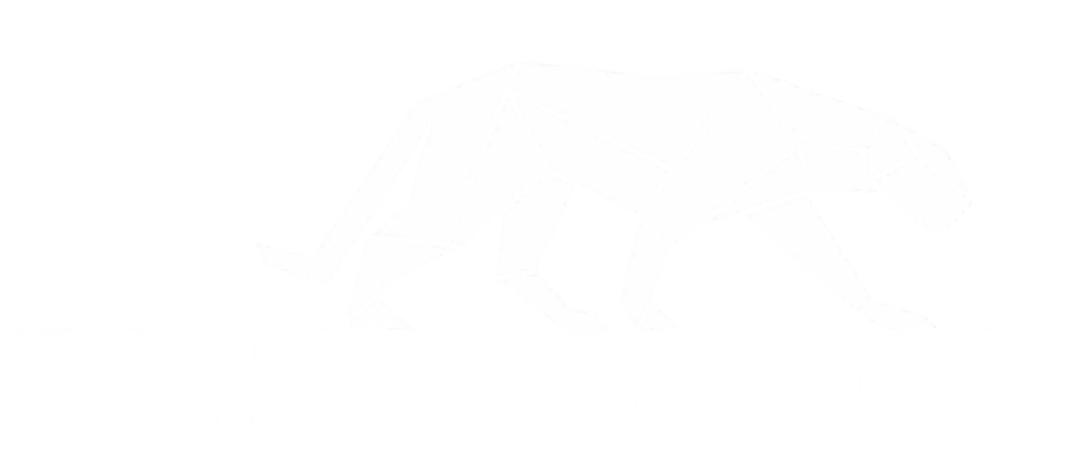 Logo klienta Dušek Decor
